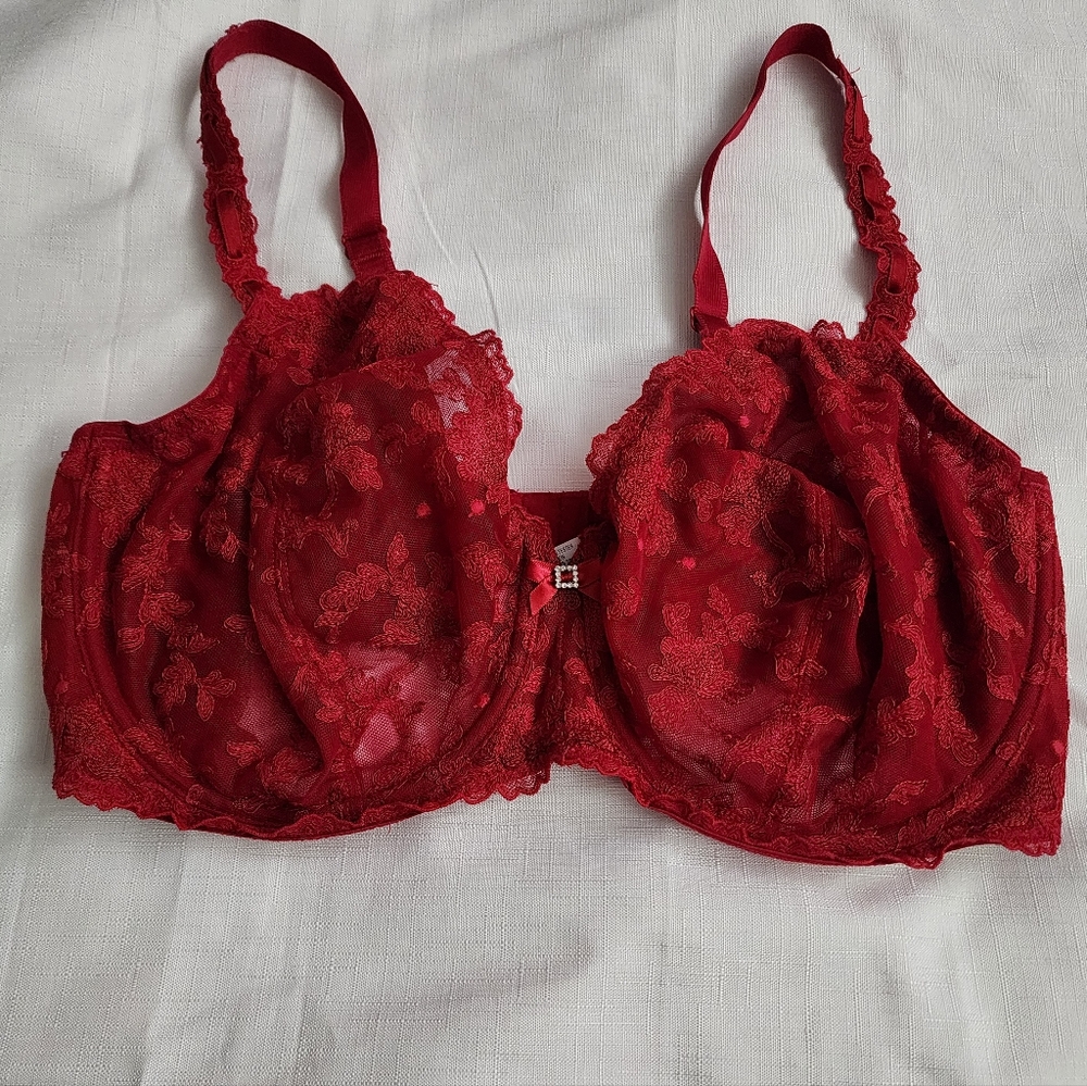 Whimsy Red Lace Underwire Bra 40DDD